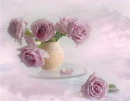 Pink Roses