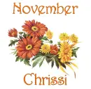 November Mums - Chrissi