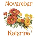 November Mums - Katerina