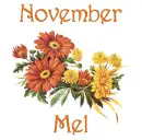 November Mums - Mel