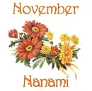 November Mums - Nanami