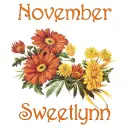 November Mums - Sweetlynn