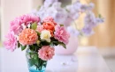 Beautiful Flowers