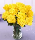 Yellow Roses