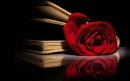 Book with Roses