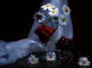Daisies flowers and Strawberry