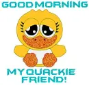 Good Morning