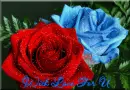 with love for you
