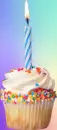 birthday