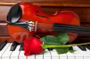 Piano and Rose