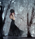Lady of the Woods