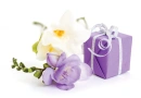 Purple Gift