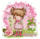 Jaya
