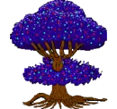 Blue Christmas Oak