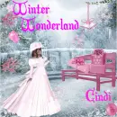 CINDI