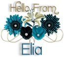Pretty Blue Flowers - Elia