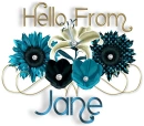 Pretty Blue Flowers - Jane
