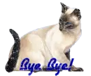 bye