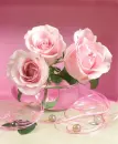 Roses and Pearls