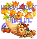 HAPPY HARVEST 