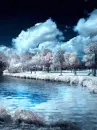 Wintertime