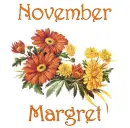November Mums - Margret