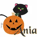 Ania - Pumpkin - Cat