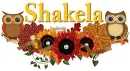 Fall Owl - Shakela