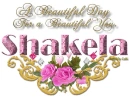 A Beautiful Day - Shakela
