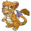 kitty dragon