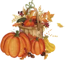 pumpskin