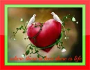 where there is love there is life