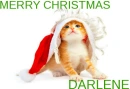 merry christmas darlene