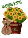 Weekend Wishes ~ Mel