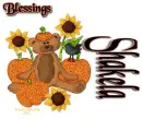 Shakela - Bear - Pumpkins - Blessings
