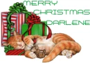 MERRY CHRISTMAS DARLENE