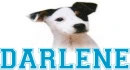 DARLENE
