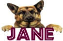 JANE