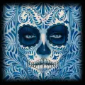 Avatar dia de muertos