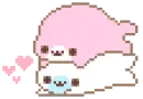 Cute seals