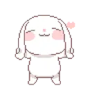 Cute cat