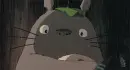 Totoro in the Rain