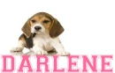 DARLENE