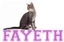 fayeth