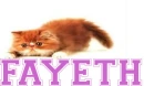 fayeth