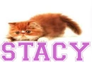 STACY
