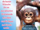 GenieÃŸen Sie Ihr Wochenende