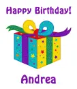 Birthday Gift for Andrea
