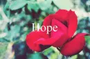 HOPE // â™¥