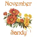 November Mums - Sandy